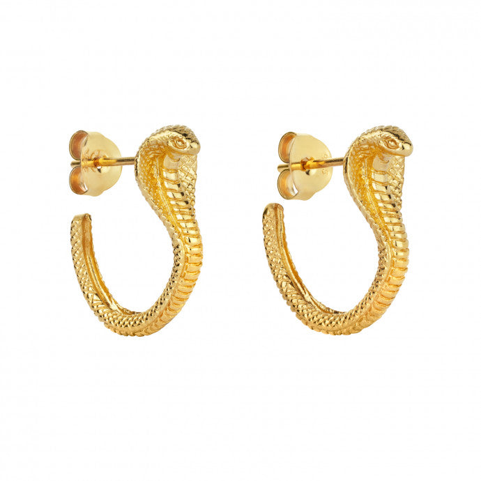 Snake hoops deals