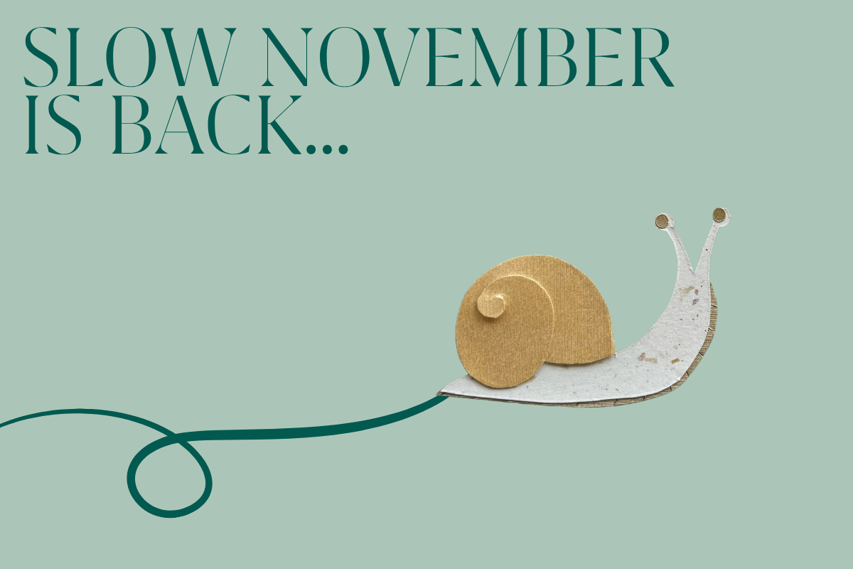 Slow November: Find Sammy the Snail and Win