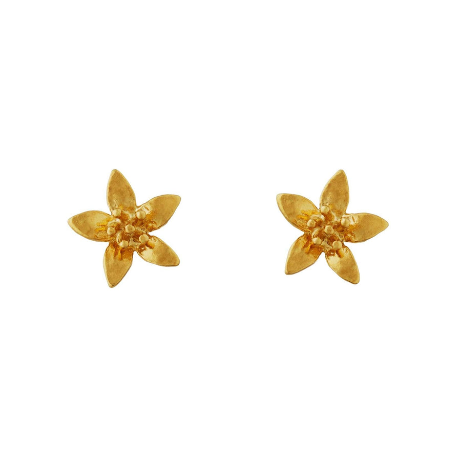 Alex Monroe Pair Lemon Blossom Stud Earrings Gold Plated at EC One London